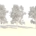 Three Green Leaf Trees with Brown Trunks on White Background 3d model
