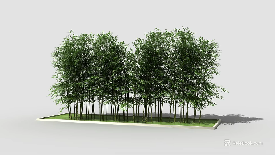 Lush Green Bamboo Stand With Tall Stems And Dense Foliage In Planter 3d model 