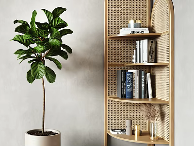 Stylish Rattan Shelving Unit With Books Decorative Items And Fiddle Leaf Fig Plant 3d model