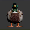 Realistic Duck With Green Head Yellow Beak Brown Body And Orange Feet On Dark Background
