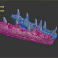 Prehistoric Animal Fossil With Spiked Bones And Ancient Skeletal Structure