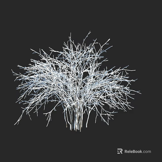 Detailed White Leafless Shrub With Intricate Fine Branches On Black Background 3d model 