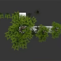 Three Different Height Pine Trees With White Silhouette On White Base Against Black Background