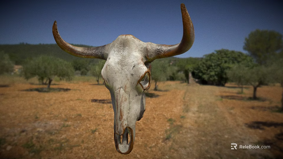 Weathered Bull Skull Against Blue Sky With Dry Land And Trees 3d model 