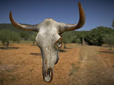 Weathered Bull Skull Against Blue Sky With Dry Land And Trees 3d model