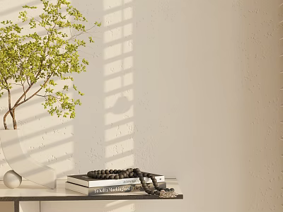 Elegant Decorative Ornament Set with Green Plant Vase Books Sphere and Sunlight Shadow 3d model
