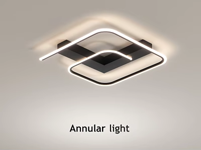 Annular Ceiling Light With Modern Design Sleek Geometric Shape And Bright Illumination For Home Interior 3d model