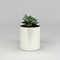 Technology Exhibition Hall Interior With Two White Flower Pots And Green Succulent Plants