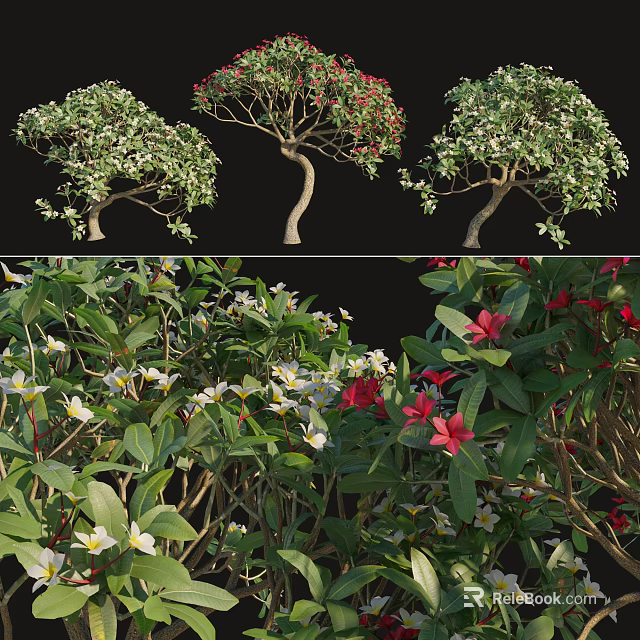 Different Arbor Types Showcasing Green Foliage And Vibrant Flower Blooms 3d model 