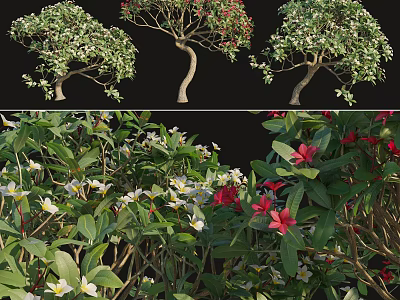 Different Arbor Types Showcasing Green Foliage And Vibrant Flower Blooms 3d model