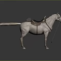 White Horse With Leather Saddle Stirrups And Bridle On Gray Reflective Ground