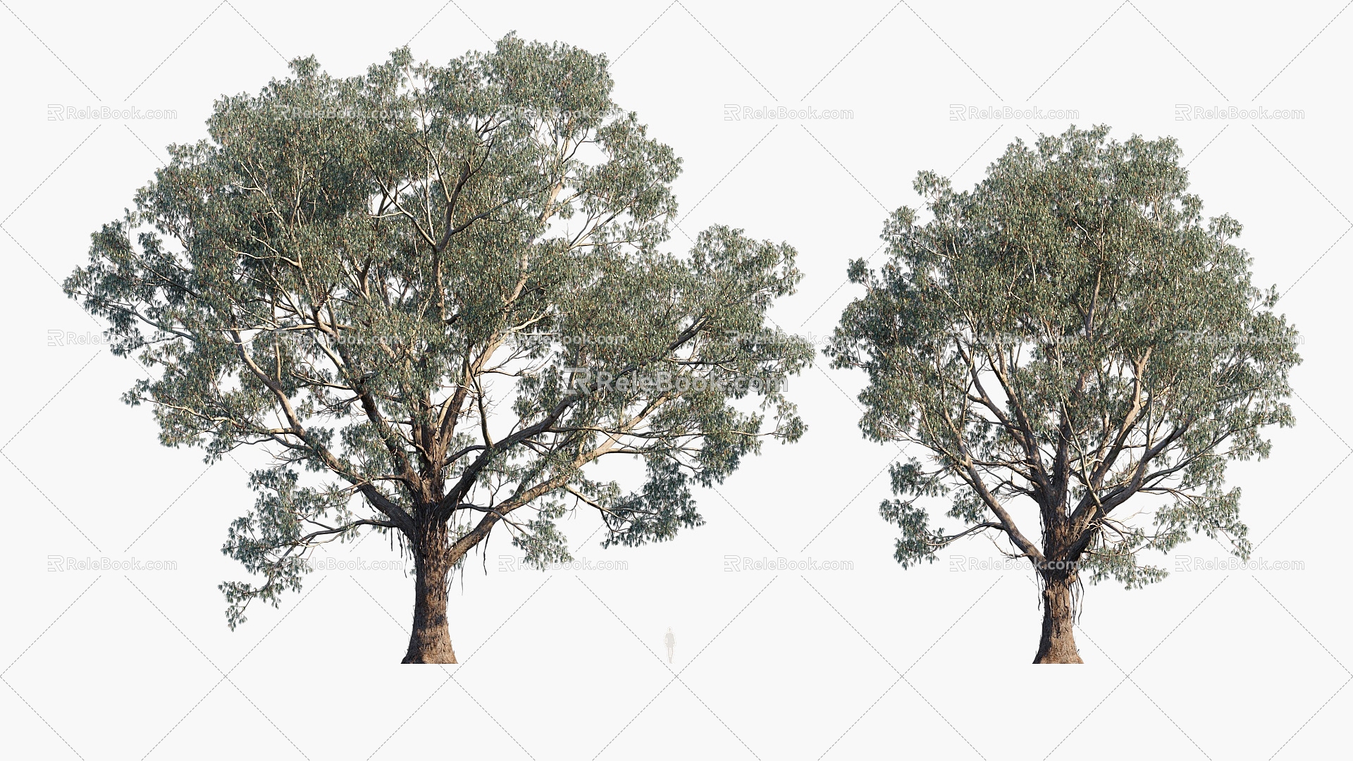 Plants Trees Trees Landscape Trees Arbor 3d model