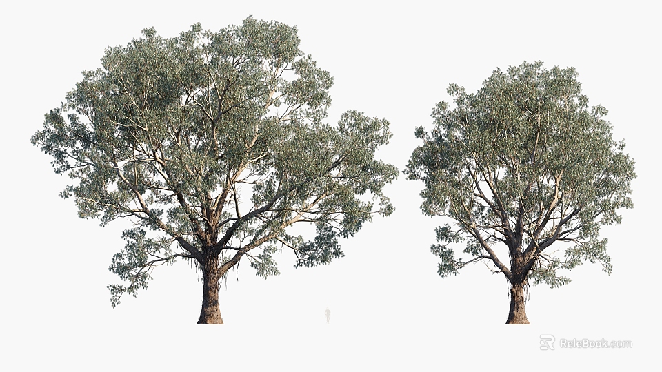 Two Lush Green Arbor Trees With Dense Foliage And Thick Strong Trunks 3d model 