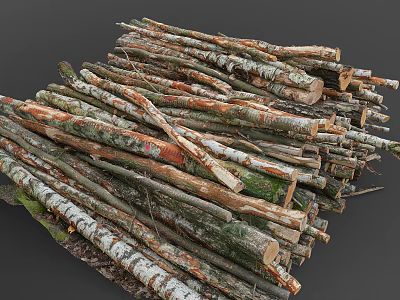 Stacked Arbor Logs With Various Trunks And Diverse Natural Wood Colors 3d model