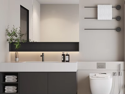 Modern Bathroom Interior With Black Bathroom Cabinet White Countertop Mirror Towel Rack And Potted Plant 3d model