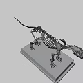 Detailed Animal Skeleton Display Featuring Anatomical Structure On Marble Base 3d model
