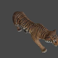 Lifelike Tiger Sculpture With Detailed Brown Black Stripes In Walking Pose