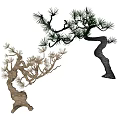 Artistic Curved Arbor With Pine Needles And Twisted Branch Design