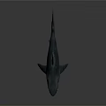 Realistic Silver Shark With Open Mouth And Sharp Teeth On Dark Background