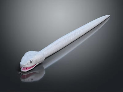 White Snake With Slender Body Open Mouth Showing Sharp Fangs On Dark Reflective Surface 3d model