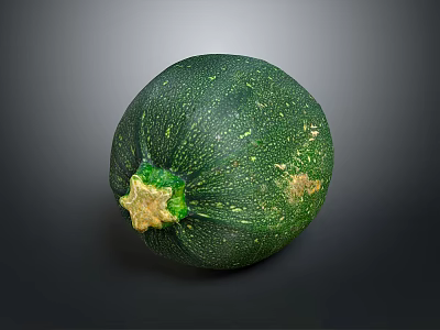 Fresh Green Round Zucchini Vegetable With Striped Skin And Healthy Food Option 3d model