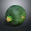 Fresh Green Round Zucchini Vegetable With Striped Skin And Healthy Food Option