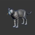 Gray Tabby Cat Standing On Dark Reflective Surface With Alert Expression 3d model