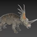 Realistic Triceratops Dinosaur Model with Horns Frilled Skull and Textured Body
