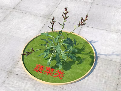 Organic Vegetable Plant With Fresh Green Leaves And Red Stems Displayed On Green Mat 3d model