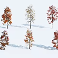 Trees With Red And Orange Foliage Standing On Snowy Ground Casting Shadows 3d model