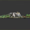Rustic Wooden Stump and Natural Stone Artwork in Lush Green Plants with Fallen Leaves