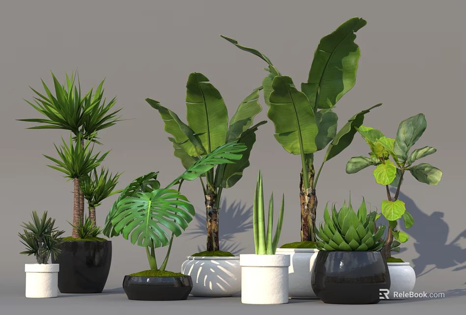 Diverse Indoor Potted Plants With Various Greenery And Stylish Decorative Pots 3d model 