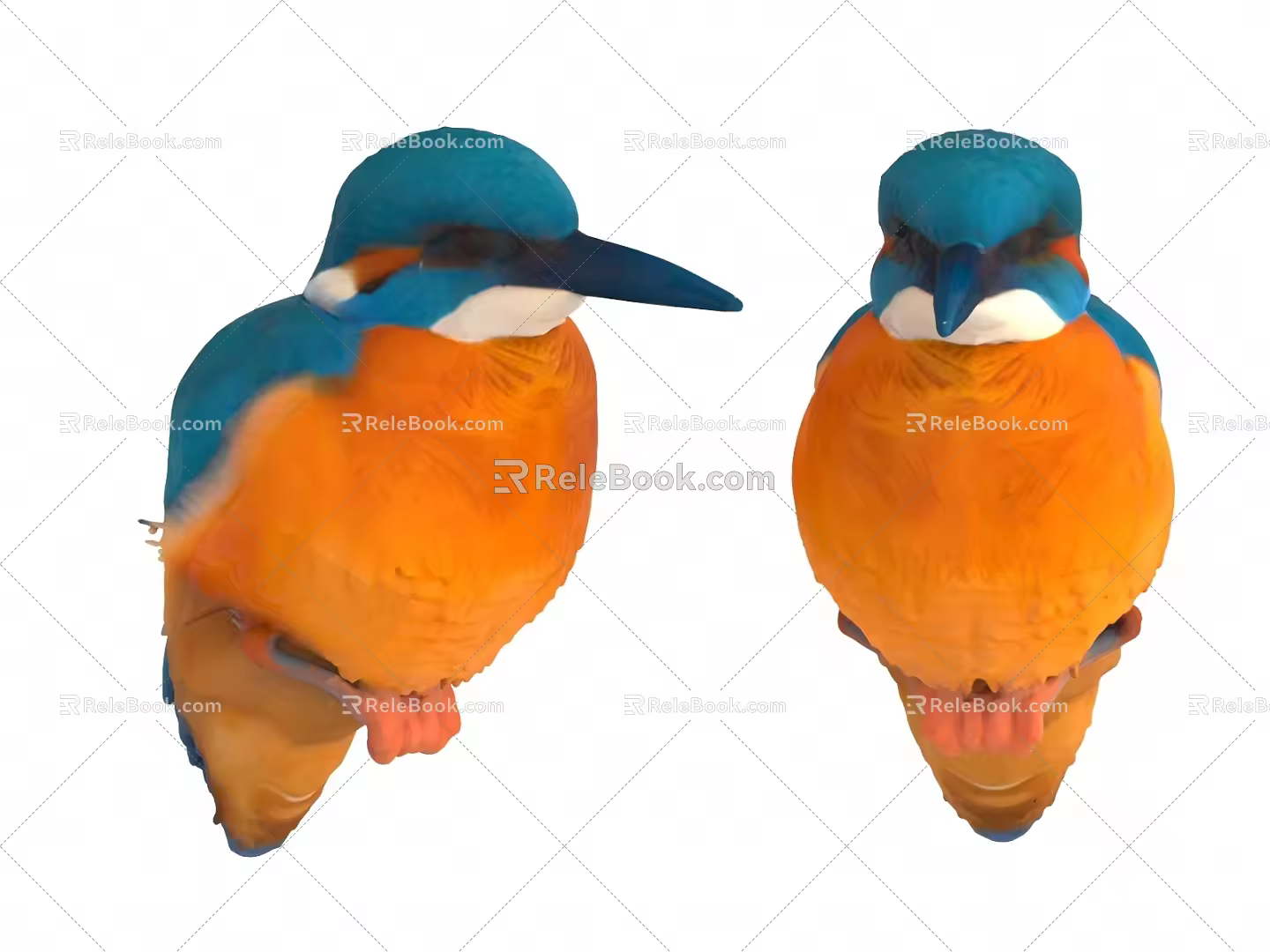 kingfisher bird magpie 3d model