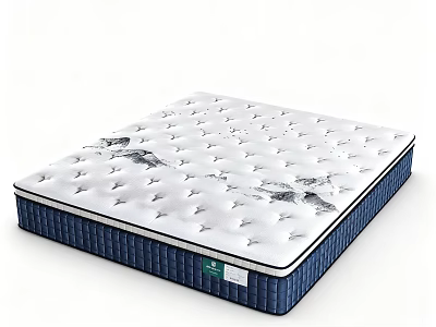 High Quality Comfortable Mattress With White Quilted Surface And Blue Border 3d model