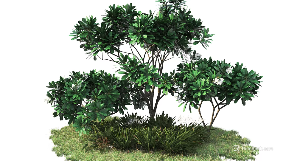 Lush Green Arbor With Branched Trunk And Surrounding Grass Plus Low Plants 3d model 