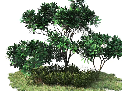 Lush Green Arbor With Branched Trunk And Surrounding Grass Plus Low Plants 3d model