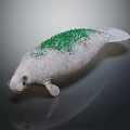 White Manatee With Green Algae On Back And Smooth Skin In Dark Background
