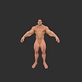 Muscular Man Standing Shirtless with Well Defined Physique on Dark Background