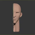 Human Head Cross Section Anatomy Displaying Internal Organs And Hair Features
