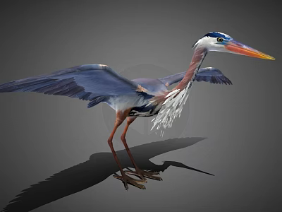 Heron Birds Egret Wild Birds Wild Animals Birds Avian Waterbird 3d model
