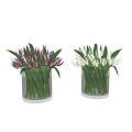 Transparent Glass Vases with White and Purple Tulips in Water on Gray Background