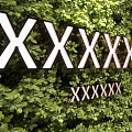 Decorative Green Plant Wall Design With White Text Elements And Lush Foliage