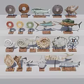 Assorted Decorative Ornament Set Featuring Circular Fish Shell Spiral Shapes On Display Stands 3d model