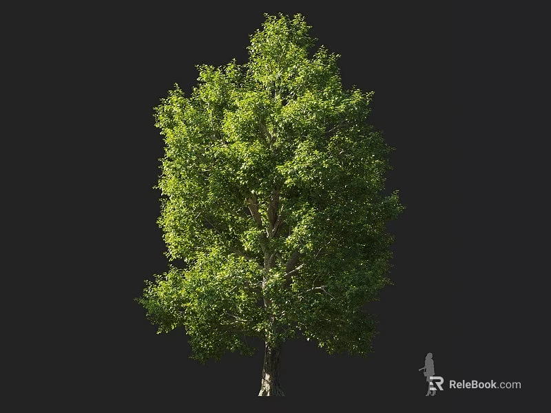 Tall Arbor With Lush Green Foliage And Thick Trunk In Outdoor Design 3d model 