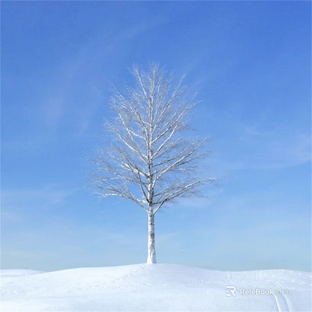 Leafless White Trunk Tree Standing Central In Snowy Ground Under Blue Sky 3d model 
