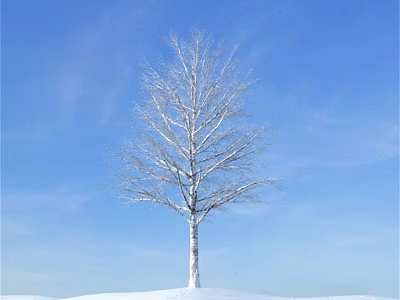 Leafless White Trunk Tree Standing Central In Snowy Ground Under Blue Sky 3d model