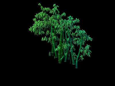 Green Bamboo Plants With Multiple Stems And Lush Green Leaves On Black Background 3d model