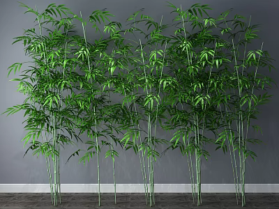 Elegant Green Bamboo Plants With Tall Stems And Lush Leaves For Modern Home Decor 3d model