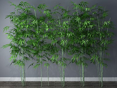 Modern Bamboo Plants 3d model