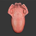 Abstract Pink Organ Shaped Artwork With Hair Textured Surface And Curved Design